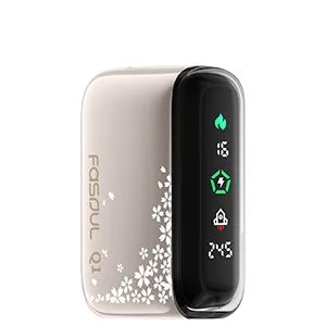 Fasoul Q1 二回機【香檳金】 加熱煙主機 IQOS TEREA煙彈通用